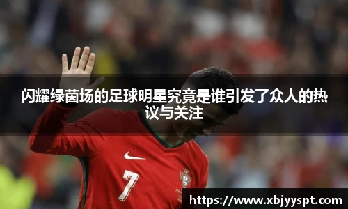 BB贝博艾弗森官网